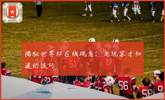 揭秘世界杯在线观看：老玩家才知道的技巧